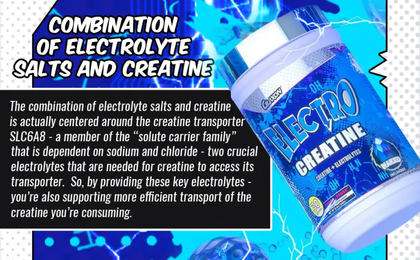 Glaxon Electro Creatine Monohydrate Powder with Electrolytes for Hydration and Absorption - 30 Servings (Naked - Unflavored) - product information 24