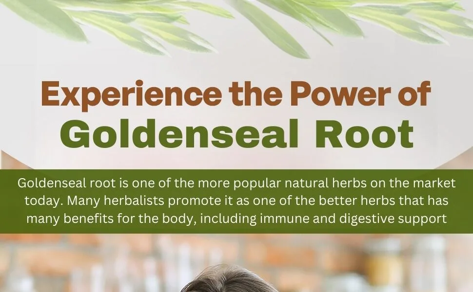 Go Nutra Goldenseal Root Extract Pure Goldenseal Powder Potent 10:1 Goldenseal Extract 4oz. Herbal Supplement Golden Seal Root - Goldenseal extract goldenseal root goldenseal capsules herbal remedy