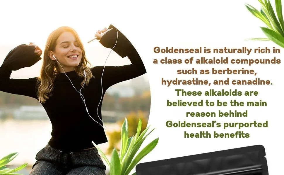 Go Nutra Goldenseal Root Extract Pure Goldenseal Powder Potent 10:1 Goldenseal Extract 4oz. Herbal Supplement Golden Seal Root - goldenseal root goldenseal extract goldenseal powder