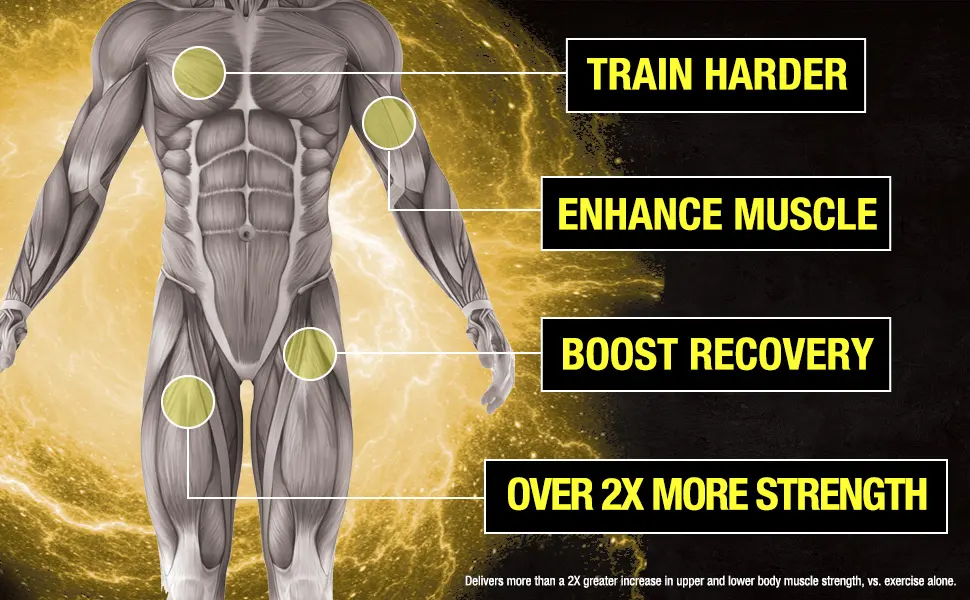 Nugenix Catalyst - Enhanced Muscle Builder and Muscle Recovery Train Harder Increase Performance - 90 Capsules - Nugenix Catalyst Muscle performance supplement for bigger gains