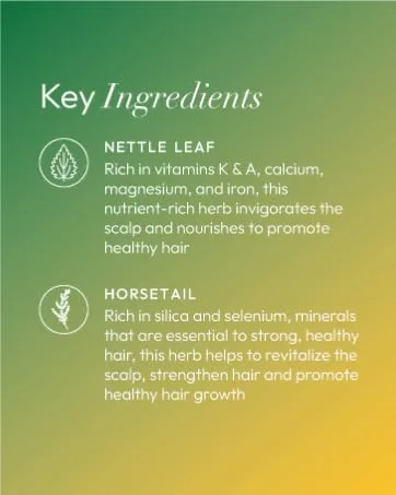 ORS HAIRestore Fertilizing Temple Balm with Nettle Leaf and Horsetail Extract - Ingredients