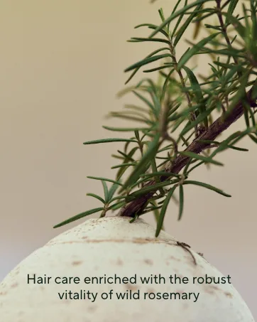 AROMATICA Dual Scalp Care Shampoo Brush - Retrieve Nourished Hair with Scalp Scaling and Deep Cleansing - aromatica