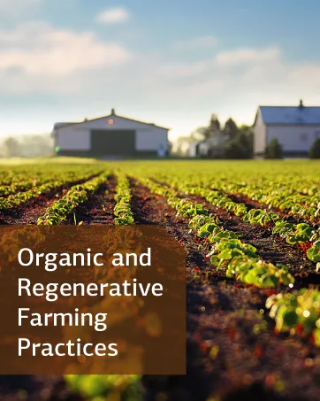 Standard Process - GI Stability - 90 Wafers - Organic and Regenerative Farming Practices