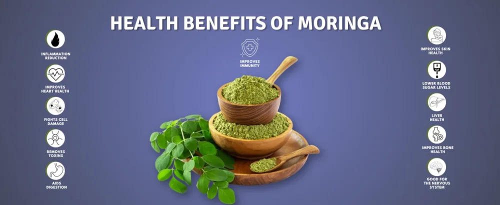 Moringa Antioxidant Capsules - Natural Moringa Oleifera - 800 MG Energy Metabolism & Immune Support. - Moringa