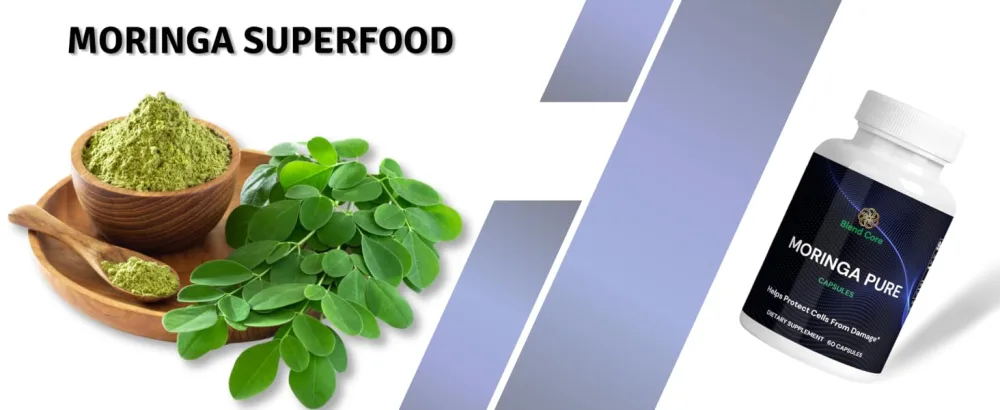Moringa Antioxidant Capsules - Natural Moringa Oleifera - 800 MG Energy Metabolism & Immune Support. - Moringa