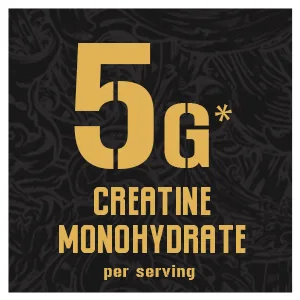 5% Nutrition Core Creatine | Micronized Creatine Monohydrate Powder | 5G 5000mg 60 Servings (Unflavored) - 5% Nutrition Core Creatine Micronized Creatine Monohydrate Powder 5G, 5000mg 60 Servings Unflavored