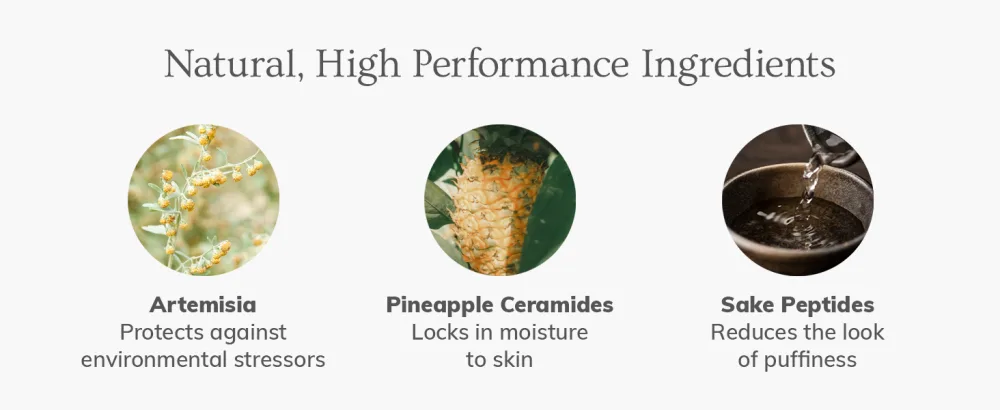 Annmarie Fruit Ceramide Eye Serum - Fruit Ceramide Eye Serum