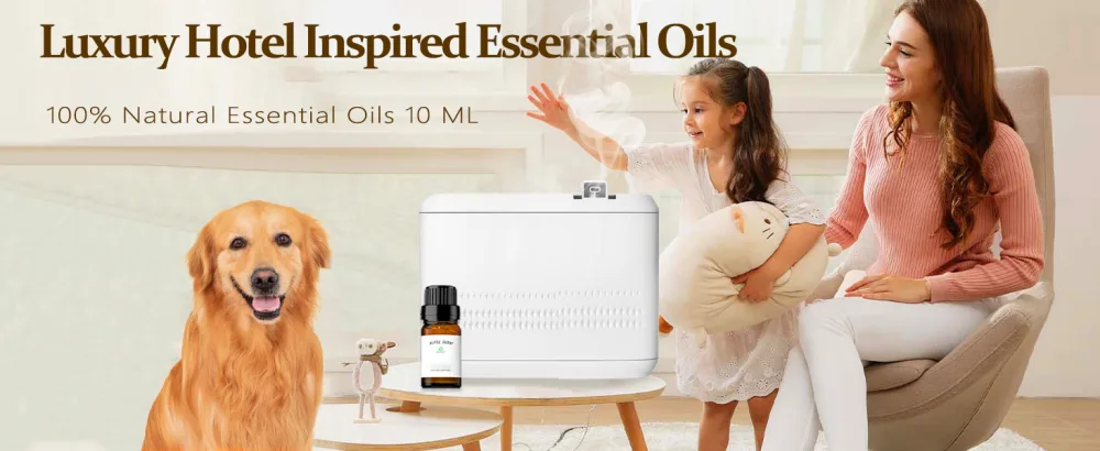 Elegant Charisma Hotel Diffuser Oil Inspired by Shangri-La- Hotel Collection-10ML Pure Essential Oil with Cedarwood and Sandalwood for Diffuser - Hotel Collection Diffuser Oil