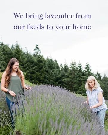 Lavender Essential Oil Reed Diffuser Refill Natural Aromatherapy Essential Oil for Reed Diffusers Essential Oils for Diffusers Home & SPA by Victoria's Lavender Up to 1 Year Supply 8oz - blend fresheners stink solution lilac blossom lemongrass aerosol freshners deoderizer