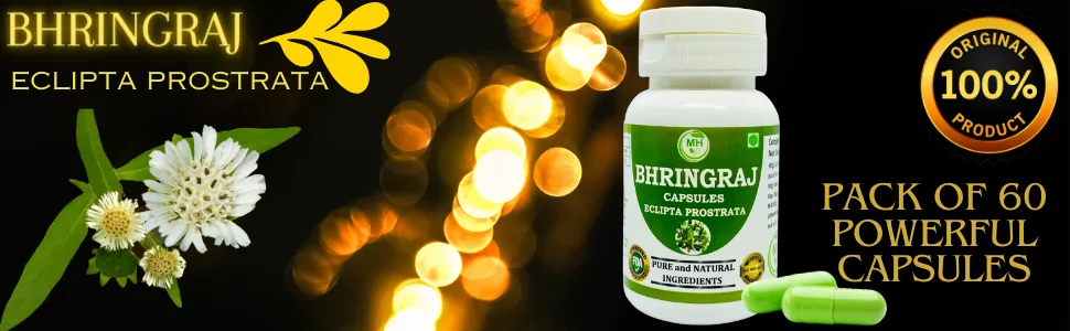 Bhringraj (Eclipta Alba) Capsules - 60 Vegetarian 500 mg Capsules Completely Herbal Supplements Gluten Free 60 Servings Vegetarian Capsules (1) - bhringraj product capsule