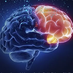 Brain Massage Adjust Heart Rate Headache Focus Attention Small and Easy to Carry Improve Deep Sleep (Light Blue) - When the inhibition is dominant in the cerebral cortex,people will sleep
