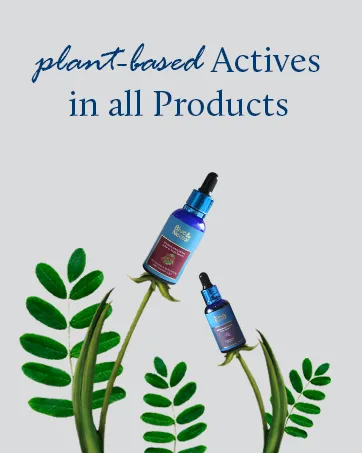 Blue Nectar Vishranti Destress Roll on and Meditation Oil with Cinnamon Clove Ginger Mint Essential Oils (9 Herbs 0.3 Fl oz) - Plant Based Actives