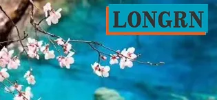LONGRN-Magnetic Copper Ring adjustable size for Arthritis for Women - product information 18