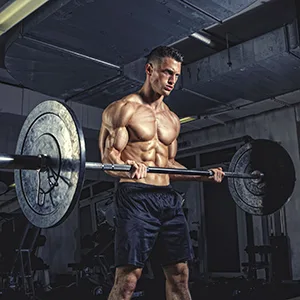 N.O. Max Nitric Oxide Supplement - L Arginine Citrulline Malate AAKG Beta Alanine pre-Workout Performance Amino acids - 60 Capsules - nutrition workout circulatory support test max indicator life oxido stimulant nitrus full cycle