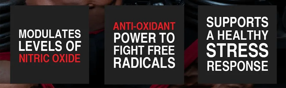 ALLMAX Nutrition Agmatine Sulfate Powder 34g - modulates nitric oxide antioxidant power healthy stress response support