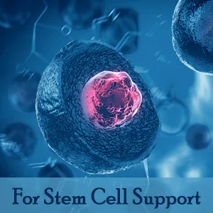 BIOSILVER | Colloidal Silver Liquid | 500 ppm Extra Strength 8 oz with Spray Bottle | Immune & Stem Cell Support | Wound Care & Superior Healing - Support Stem Cells with Optimum You Colloidal Silver