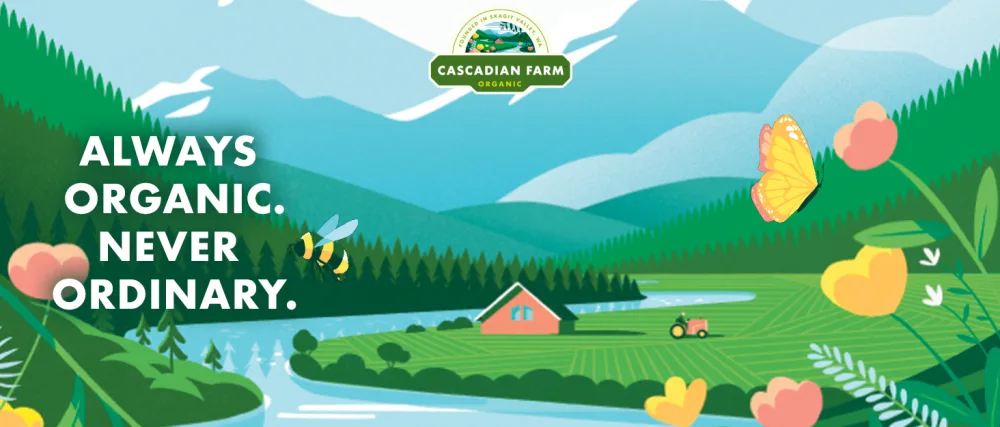 Cascadian Farm Organic Peanut Butter Dark Chocolate Chip Protein Bars Non-GMO 5 Bars 8.85 oz. - always organic never ordinary