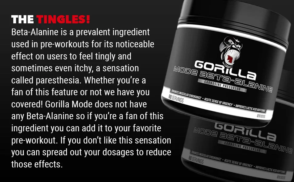 Gorilla Mode Beta-Alanine – Carnosine Precursor/Enhanced Muscular Endurance / 3.2 Grams per Servings - Beta Alanine