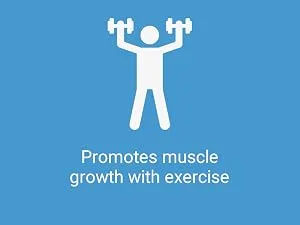 Life Extension Wellness Code® Muscle Strength & Restore Formula Vitamin D3 ß-Hydroxy-ß-Methylbutyrate Monohydrate (HMB) Muscle Health Gluten Free Non-GMO 94.2 g - supplement water workout preworkout mass protein shake shakes