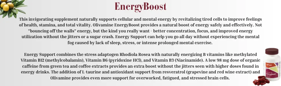 Olivamine EnergyBoost with Taurine Rhodiola Vitamin B12 Caffeine and Olive Leaf Extract 60 Capsules - EB A PLUS