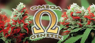 Colloidal Silver and Silver Thiosulfate Combination. - og3aa