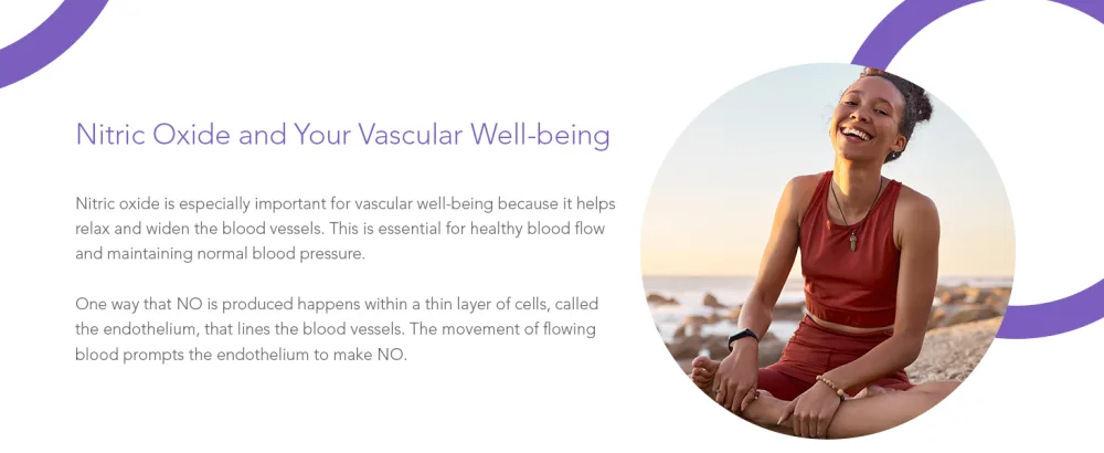 Vascanox HP - Next Generation Nitric Oxide Support - Up to 24 Hours on Single dose*+ - product information 16