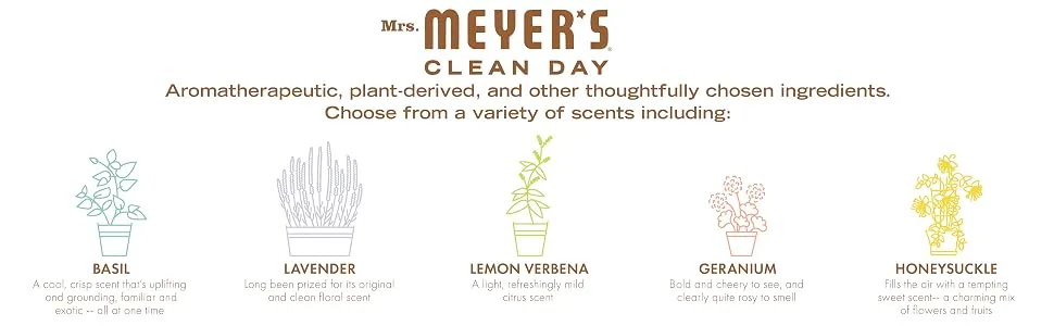 MRS. MEYER'S CLEAN DAY Liquid Dish Soap Biodegradable Formula Limitd Edition Orange Clove 16 fl. Oz - mrs meyers clean day aromatherapeutic plant derived