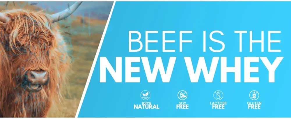 Paleo Post Beef Protein Powder - Collagen Peptides - Grass Fed Bone Broth Beef Protein - 21g Protein - Gut Keto and Paleo Friendly -30 Servings (Chocolate) - Beef is the new whey