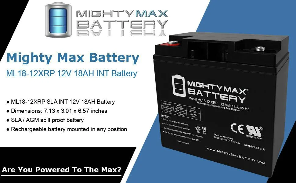 Mighty Max Battery 12V 18AH SLA Replacement Battery for Briggs Stratton 193463GS - product information 32