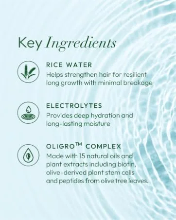 Olive Oil Max Moisture Super Soft Style Curl Defining Mousse infused with Rice Water & Electrolytes for Supercharged Hydration & Growth (7.0 oz) - Ingredients