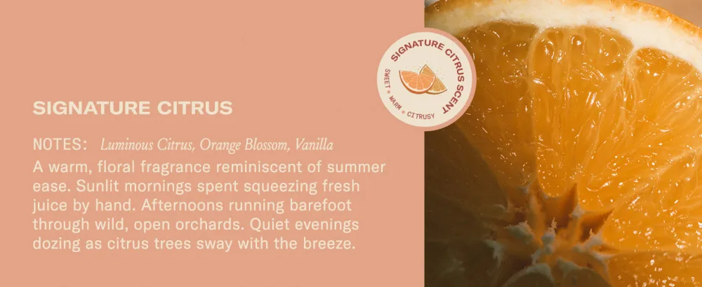 DAE Cactus Fruit 3-In-1 Styling Cream - Smooth Styles Prep Shiny Blowouts Defines Curls (5 oz.) 3-1 - product information 12
