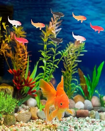 1pc Brush Cleaner Mat Brush Washing Mat Makeup Brush Cleaning Tool Brush Cleaning Pad Rosy - fish