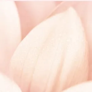 Dear Dahlia Blooming Edition Paradise Tinted Blooming Balm 0.1 oz. - LIP_PTBB_FAN