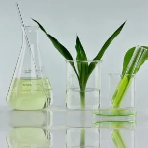 Ecoslay Wide Mouth Jar and Lid (Mason Jar with Pump) - Slather Mindfully