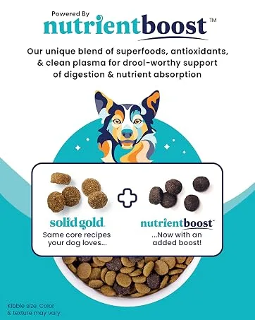 Solid Gold NutrientBoost Meal Topper for Cats - High Protein Crunchy Cat Treats Rich in Vitamins Minerals and Amino Acids - 1 Pound - animal plasma high protein dog food digestion support for dogs