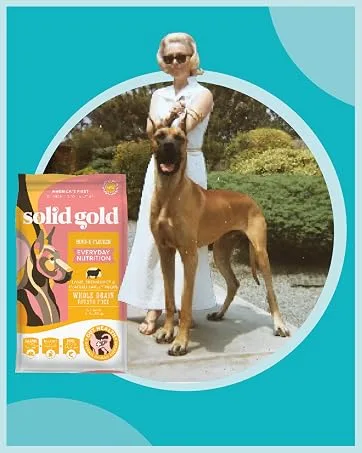 Solid Gold NutrientBoost Meal Topper for Cats - High Protein Crunchy Cat Treats Rich in Vitamins Minerals and Amino Acids - 1 Pound - solid gold dry dog food pet food food for cats wet cat variety pack