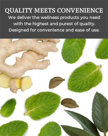 Organic Protector Essential Oil Immunity Blend Roll On Based on Thieves Oil Legend 100% Pure USDA Certified Health Shield Aromatherapy - 10 ml Roller by Silk Road Organic Protector roll on - highest purest quality ingredients convenience ease of use wellness products
