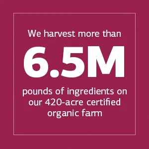 Standard Process E-Manganese - Pituitary Supplements - Pituitary Gland Supplements with Calcium Lactate, Ascorbic Acid, Calcium, Magnesium Citrate, Vitamin E, and Honey - 50 Tablets - We harvest more than 6.5M pounds of ingredients on our 420-acre certified organic farm
