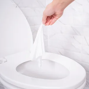 Stall Mates Wipes: Flushable, individually wrapped wipes for travel. Unscented with Vitamin-E & Aloe (30 on-the-go singles) 30 Count (Pack of 1) - Certified Flushable