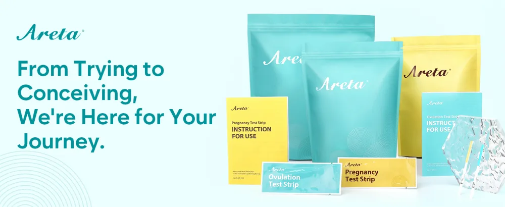 Areta Ovulation Test Strips Kit: 30 Tests | Accurate & Reliable for Women | Fast & Convenient Fertility Tracking | High Accuracy Ovulation Test Kit - ovulation test strips