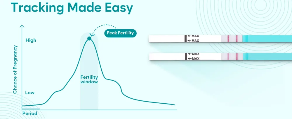 Areta Ovulation Test Strips Kit: 30 Tests | Accurate & Reliable for Women | Fast & Convenient Fertility Tracking | High Accuracy Ovulation Test Kit - ovulation test strips