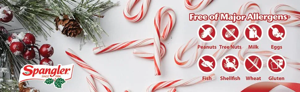 Spangler Red and White Peppermint Mini Canes 240 Count Box Red and White 240 Count (Pack of 1) - product information 2