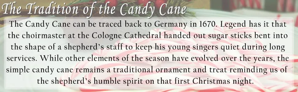 Spangler Red and White Peppermint Mini Canes 240 Count Box Red and White 240 Count (Pack of 1) - product information 3