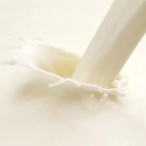 Soyajoy Premium Total Tofu Kit - product information 7
