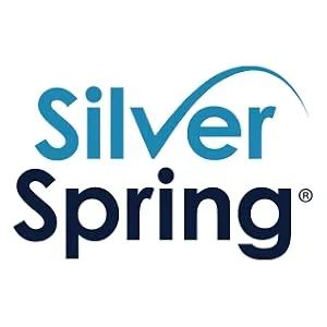 Silver Spring 2" High Aluminum Threshold Ramp, Punch Plate Surface, 12" L x 32" W 12" x 32" - Silver Spring, Mobility
