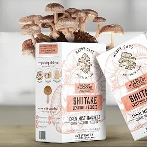 Shiitake Mushroom Plugs - Grow Mushrooms On Logs - 100 Count - by Happy Caps Mushroom Farm - shiitake