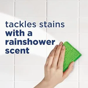 Scrubbing Bubbles Dissolve Concentrated Pod Bathroom Cleaner, Starter Kit, 1 Reusable Bottle, 3 Concentrated Dissolvable Pods - rainshower scent