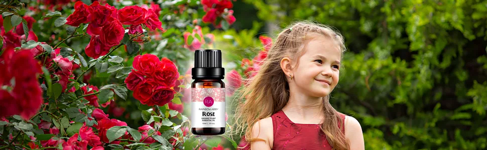 Rose Essential Oil 100% Pure Organic Therapeutic Grade Rose Oil for Diffuser, Sleep, Perfume, Massage, Skin Care, Aromatherapy, Bath - 10ML - product information 2