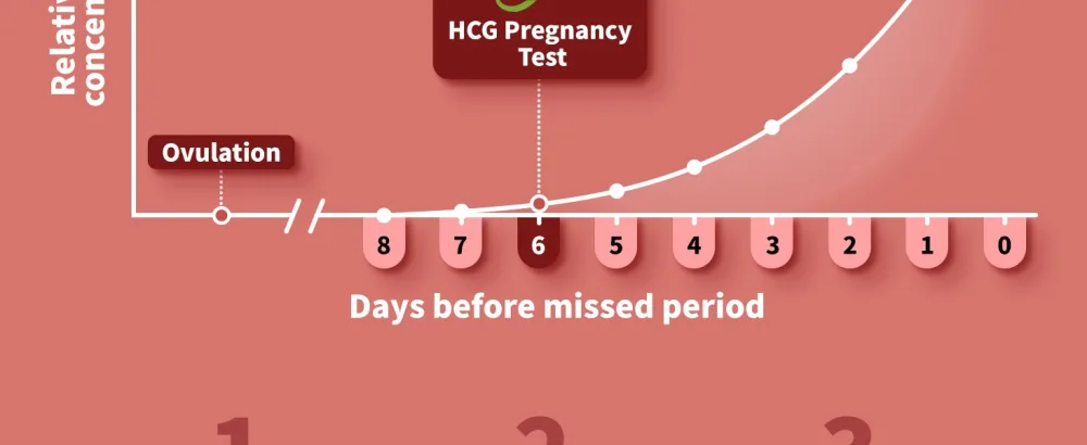 Pregnancy Test: Early Detection with Ultra High Sensitivity Home Pregnancy Midstream Test for Women Home Testing 5 Sticks + 10 Test Strips - Pregnancy Test Kit, Early Detection with Ultra High Sensitivity Home Pregnancy