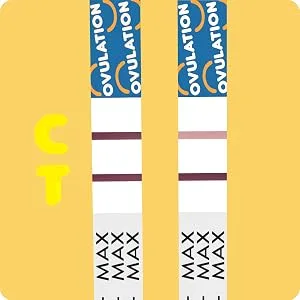 Pregmate 50 Ovulation and 20 Pregnancy Test Strips - Postitive: If two lines are visible and the test line is equal to or darker than the control line.